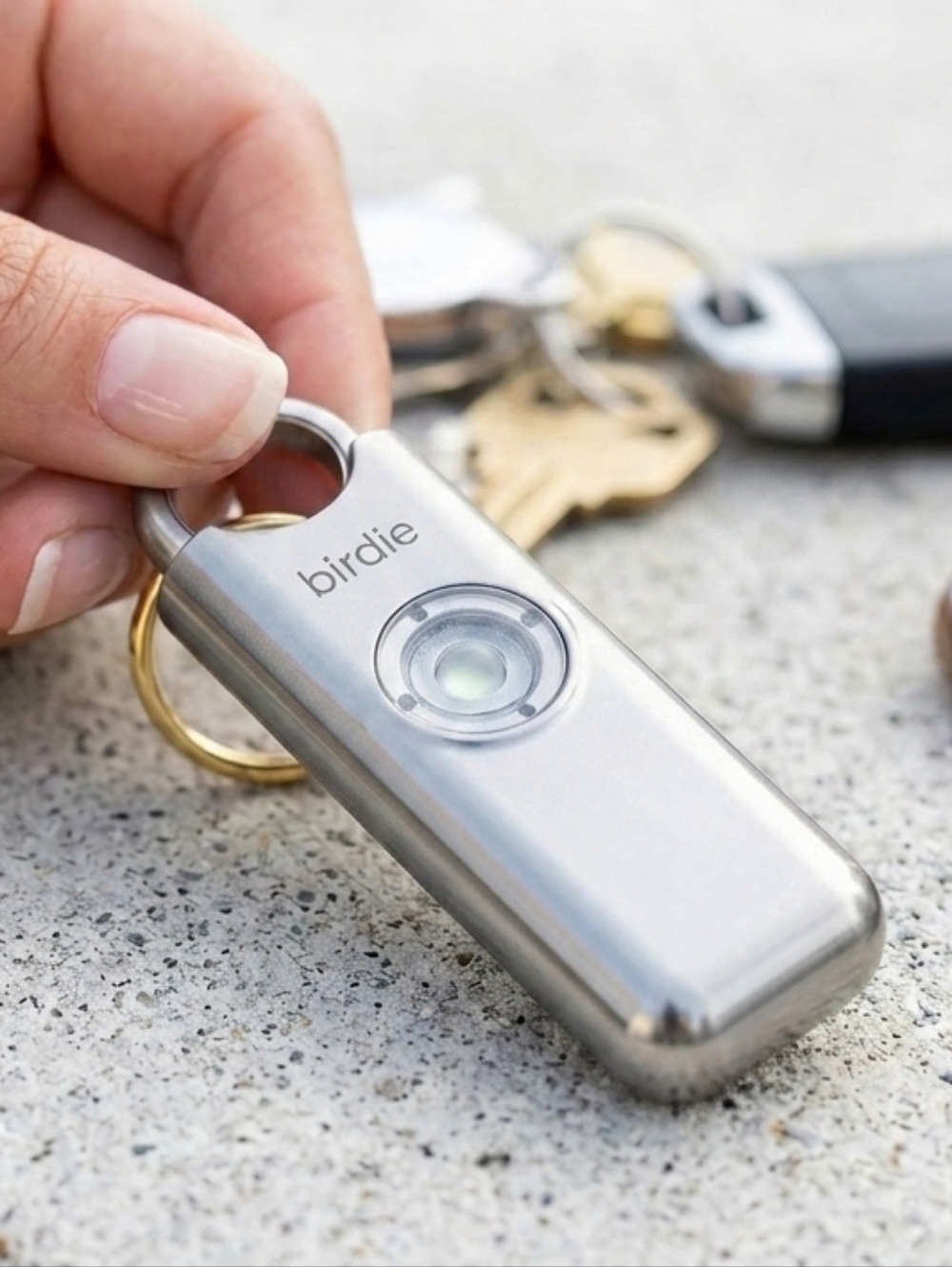 Metallic Silver Alarm Key Chain